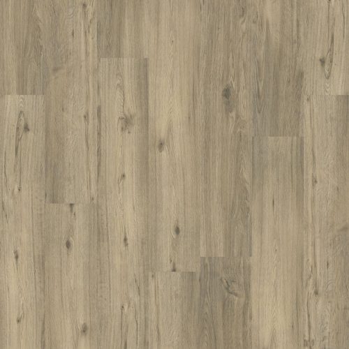 Design 555 Spring Oak